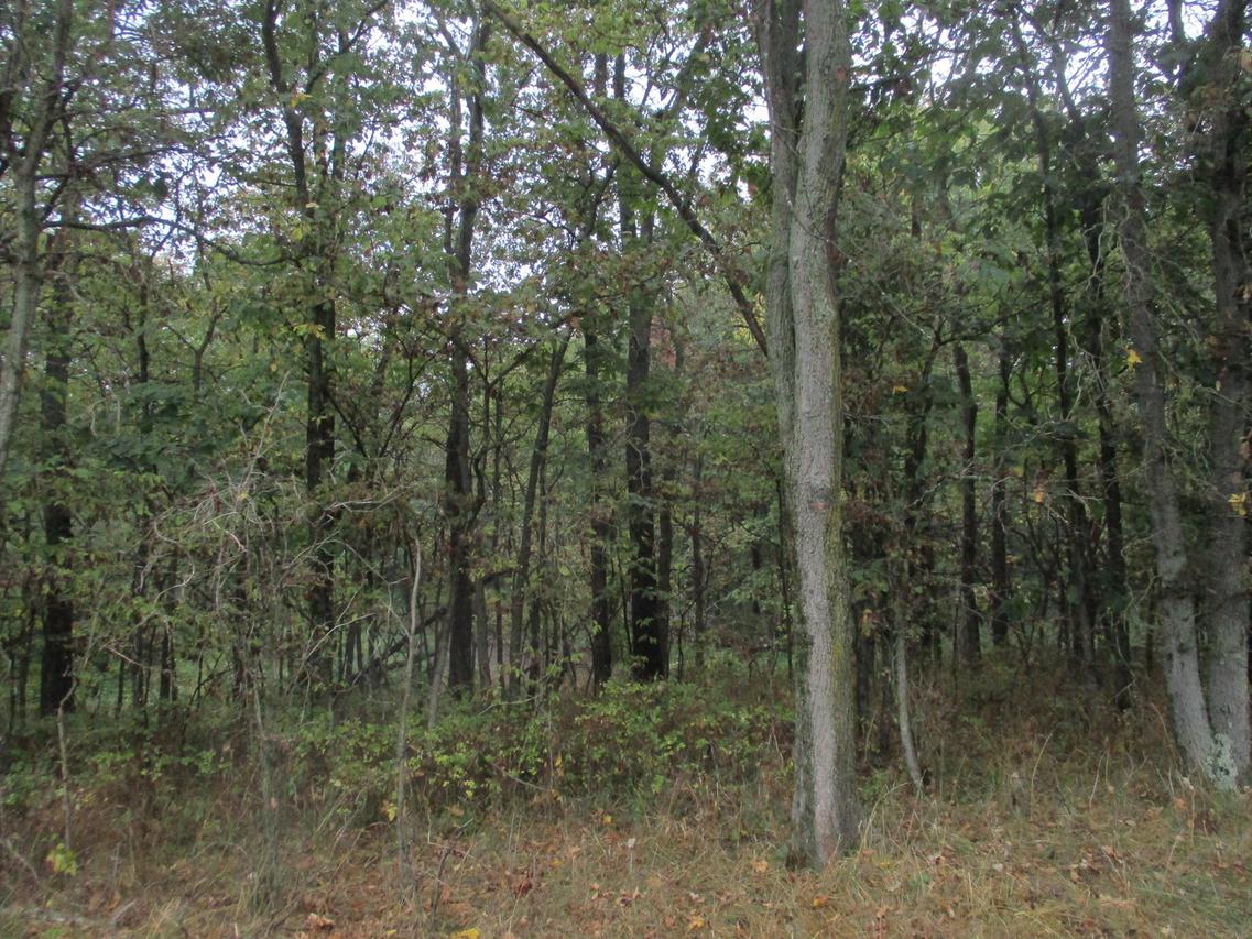 410 N Cr 2175 E, Oakland, IL 61943