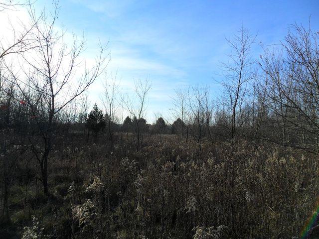 29737 Klemme Rd., Beecher, IL 60401