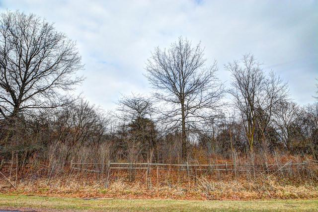21182 W Brandon Rd., Kildeer, IL 60047