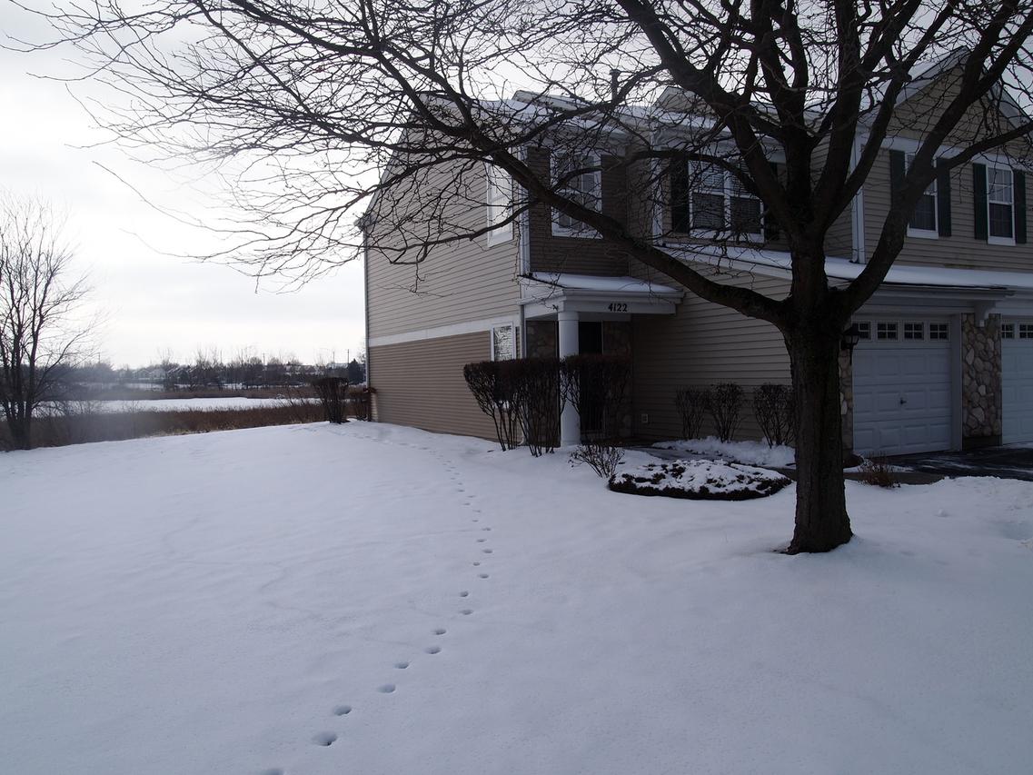 4122 Oak Tree Ln., Plainfield, IL 60586
