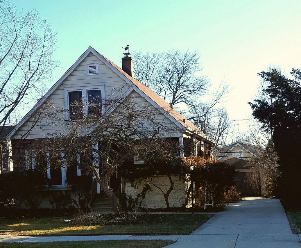 313 5th St., Downers Grove, IL 60515