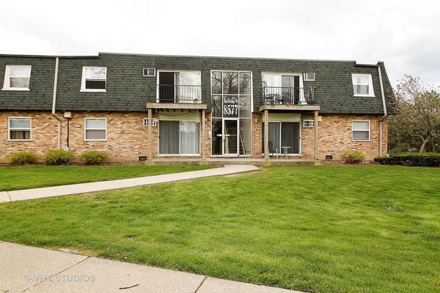 8577 W 101st Ter. #6101, Palos Hills, IL 60465