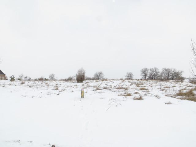 24313 S Pine Ridge Dr., Monee, IL 60449