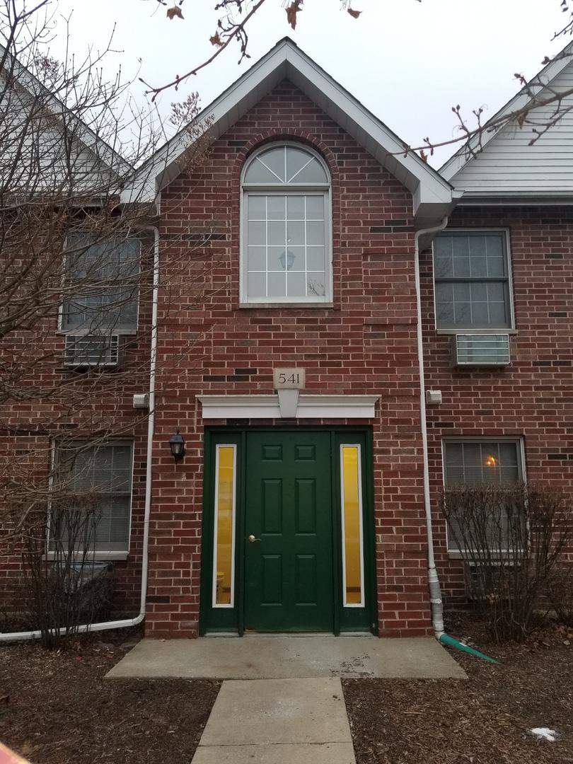 541 Leah Ln. #1C, Woodstock, IL 60098