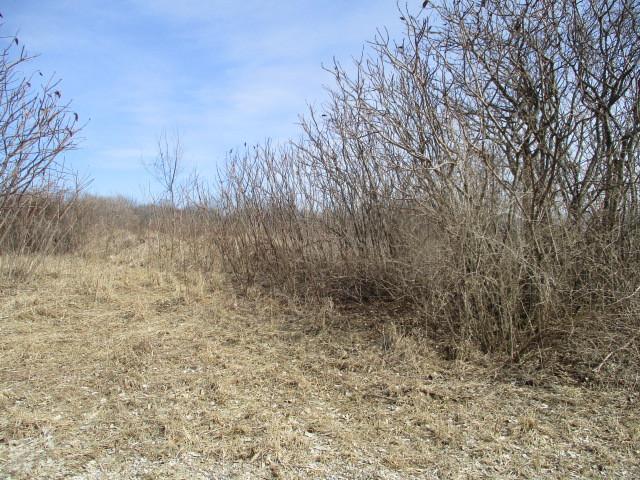 16863 Hartman Rd., Davis, IL 61019