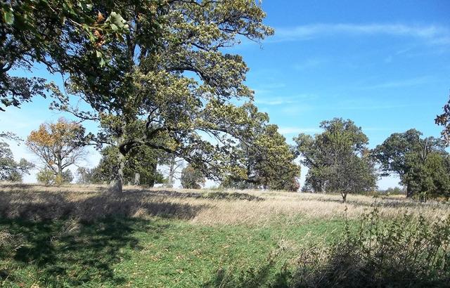 3548 S Paw Paw Rd., Paw Paw, IL 61353