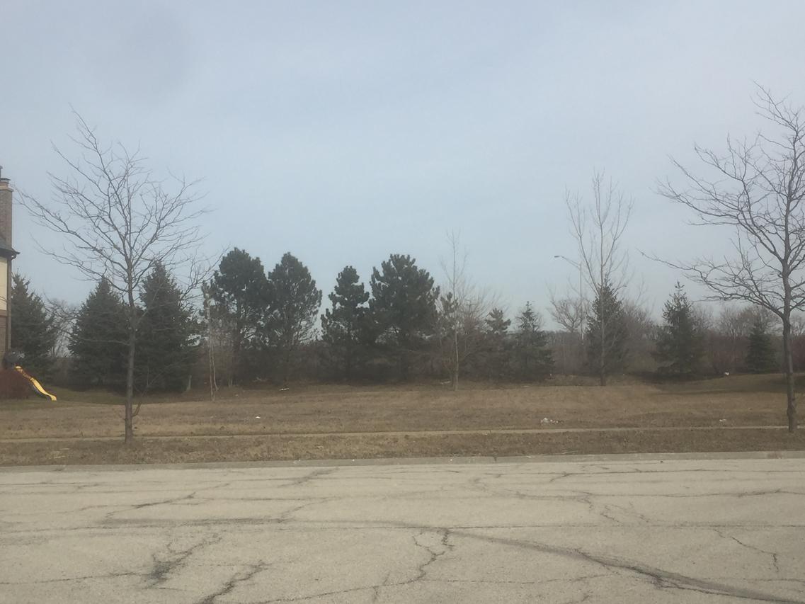 12435 Thornberry Dr., Lemont, IL 60439