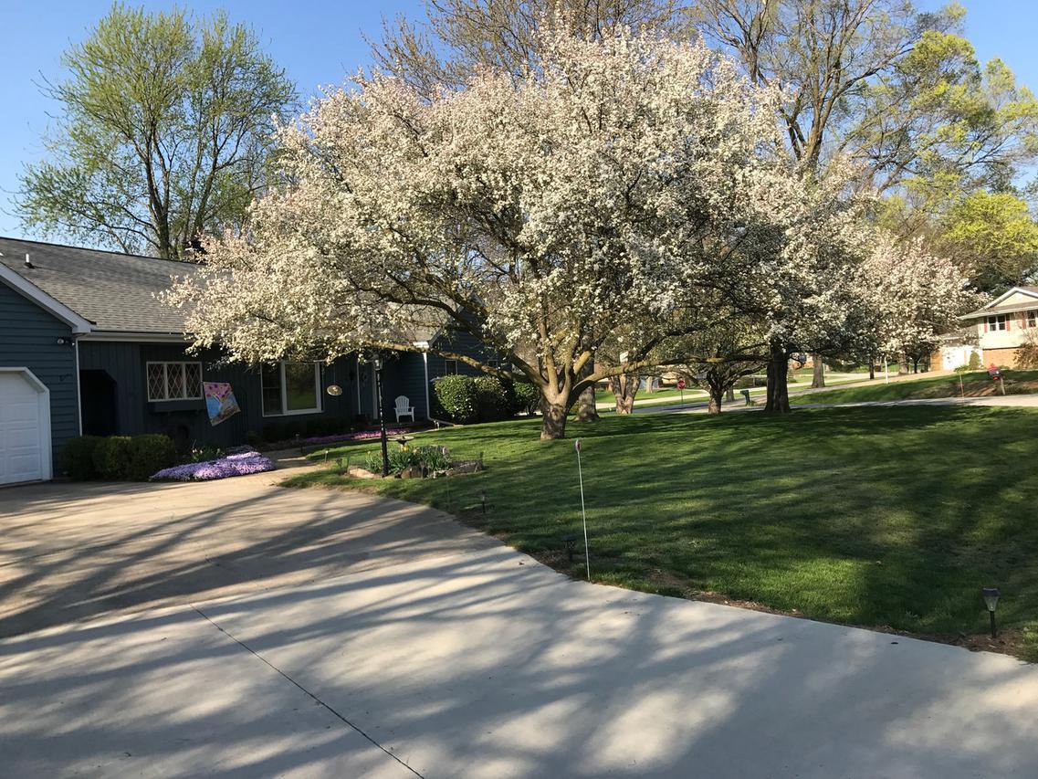 7 Genevieve Ct., Champaign, IL 61822