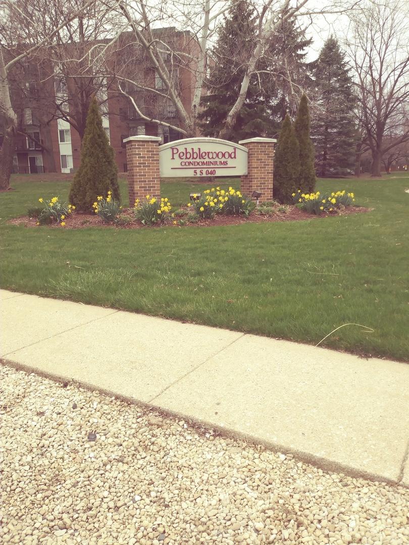 5S040 Pebblewood Ln. #W107, Naperville, IL 60563