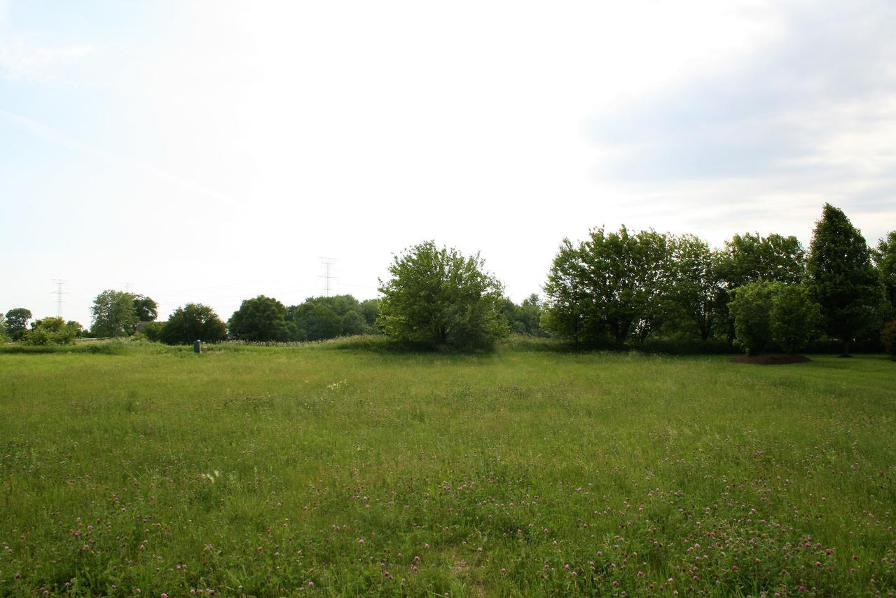 21408 Westminster Ln., Shorewood, IL 60404