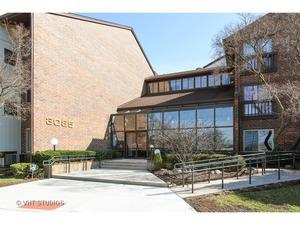 3085 Pheasant Creek Dr. #213, Northbrook, IL 60062