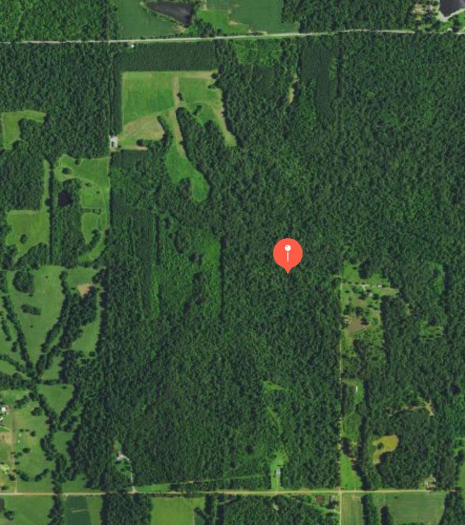 Angelly Rd., Brookport, IL 62910