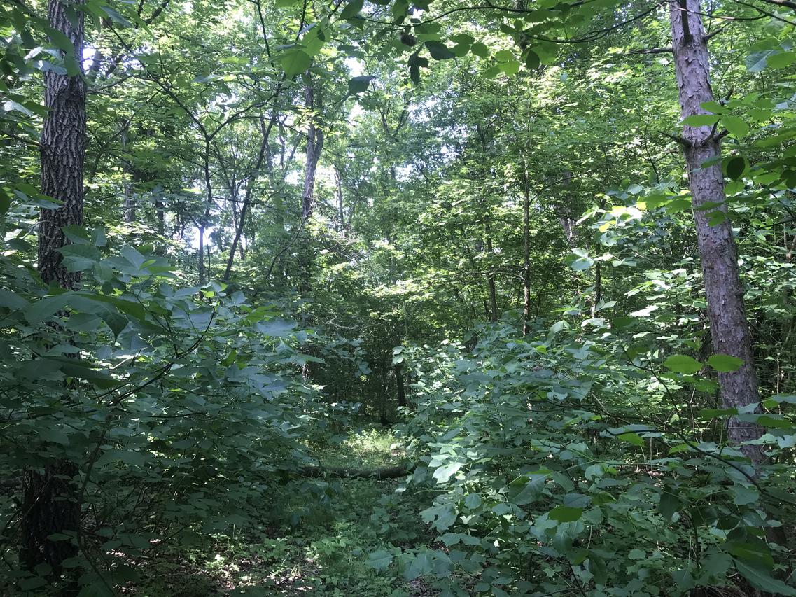 000 Razorville Rd., Byron, IL 61010