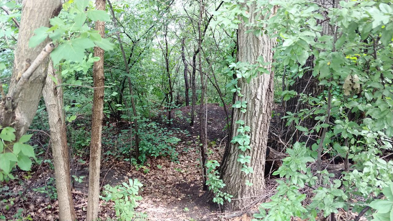 981 Vineyard Dr., Gurnee, IL 60031