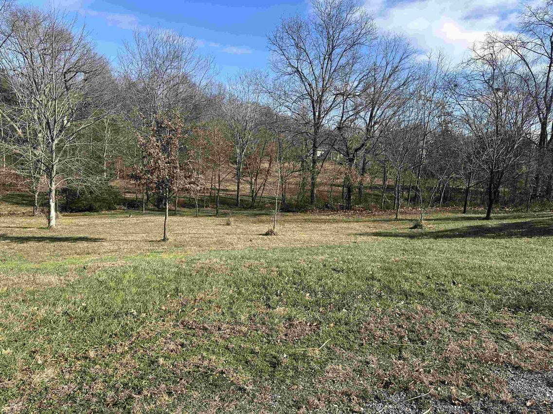 0000 Joyce Ln., Vienna, IL 62995