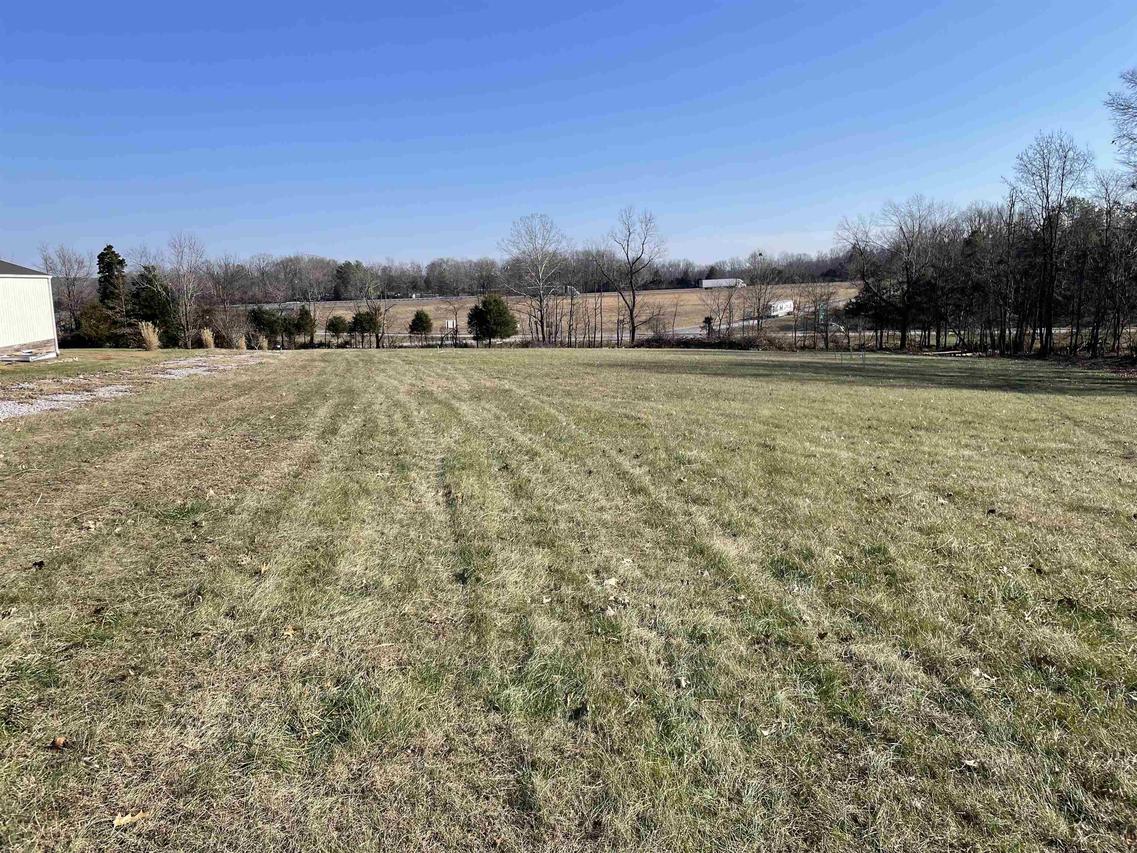 TBD Tulip Ln., Vienna, IL 62960