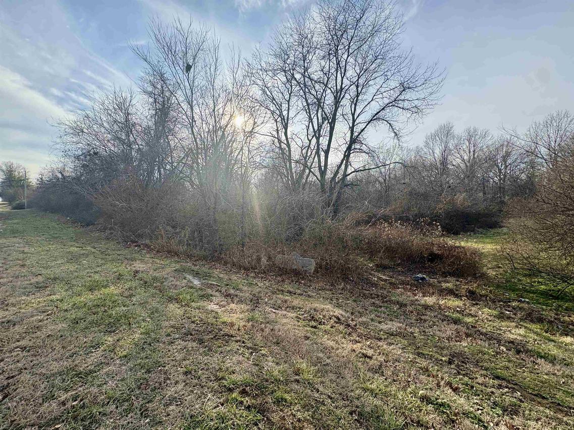 0000 Reed Station Rd., Carbondale, IL 62901