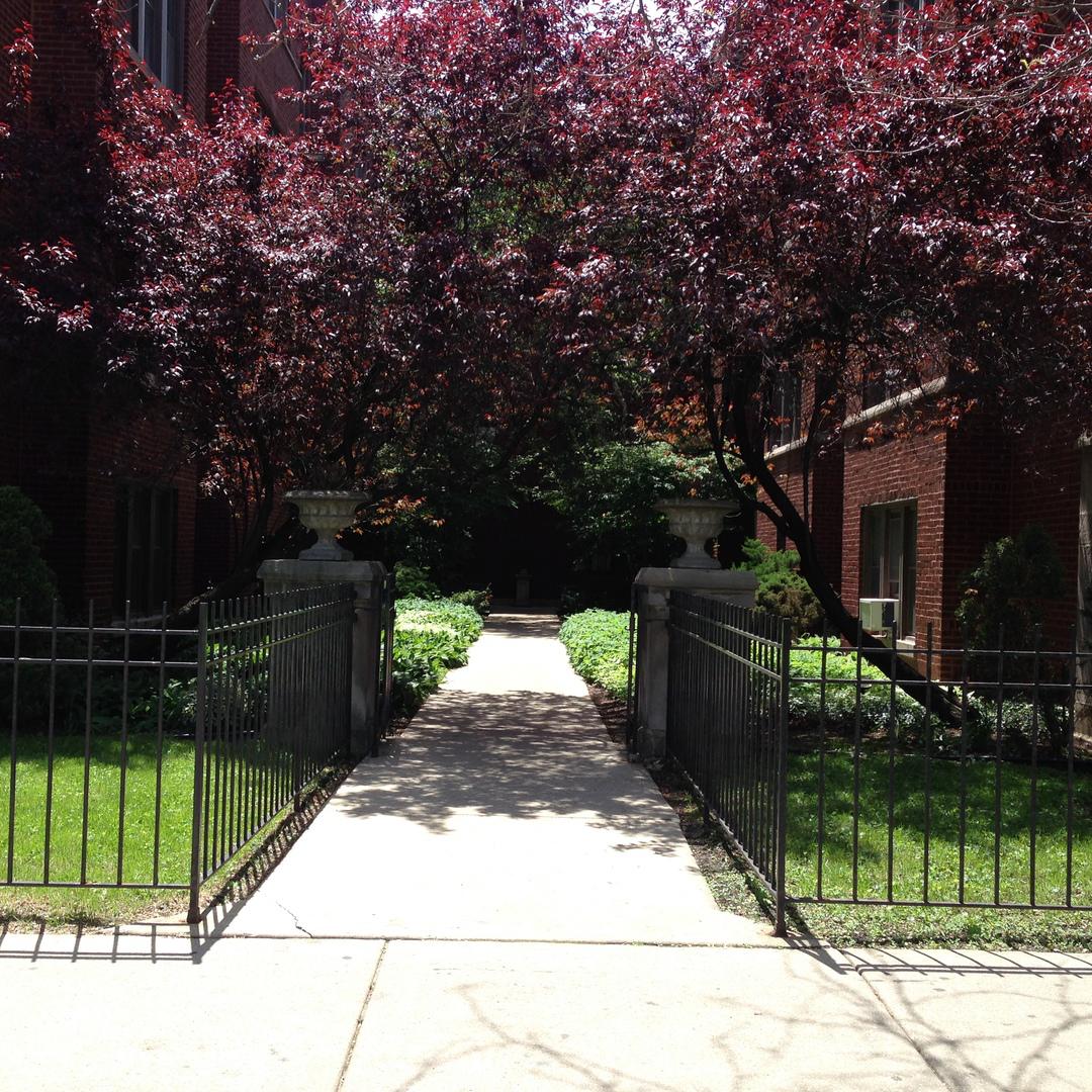 1323 W Addison St. #1B, Chicago, IL 60613