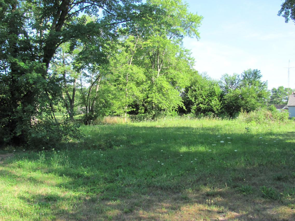 313 W South St., Essex, IL 60935