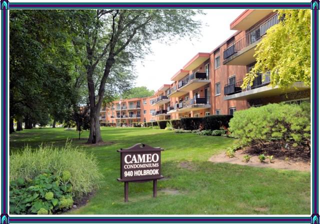 940 Holbrook Rd. #29B, Homewood, IL 60430