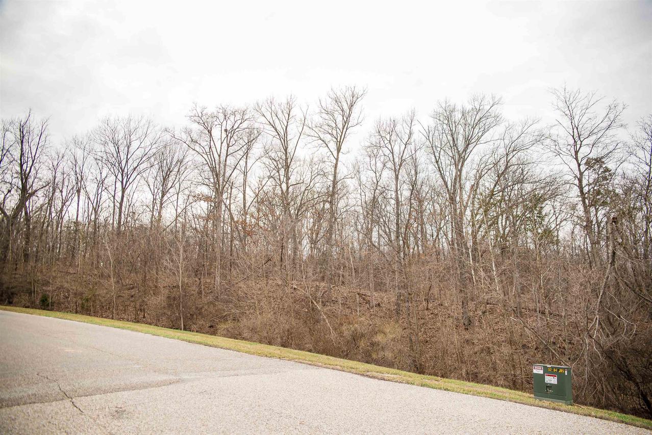 SE Sec 21 2s8w 3.139 Rd., Quincy, IL 62305