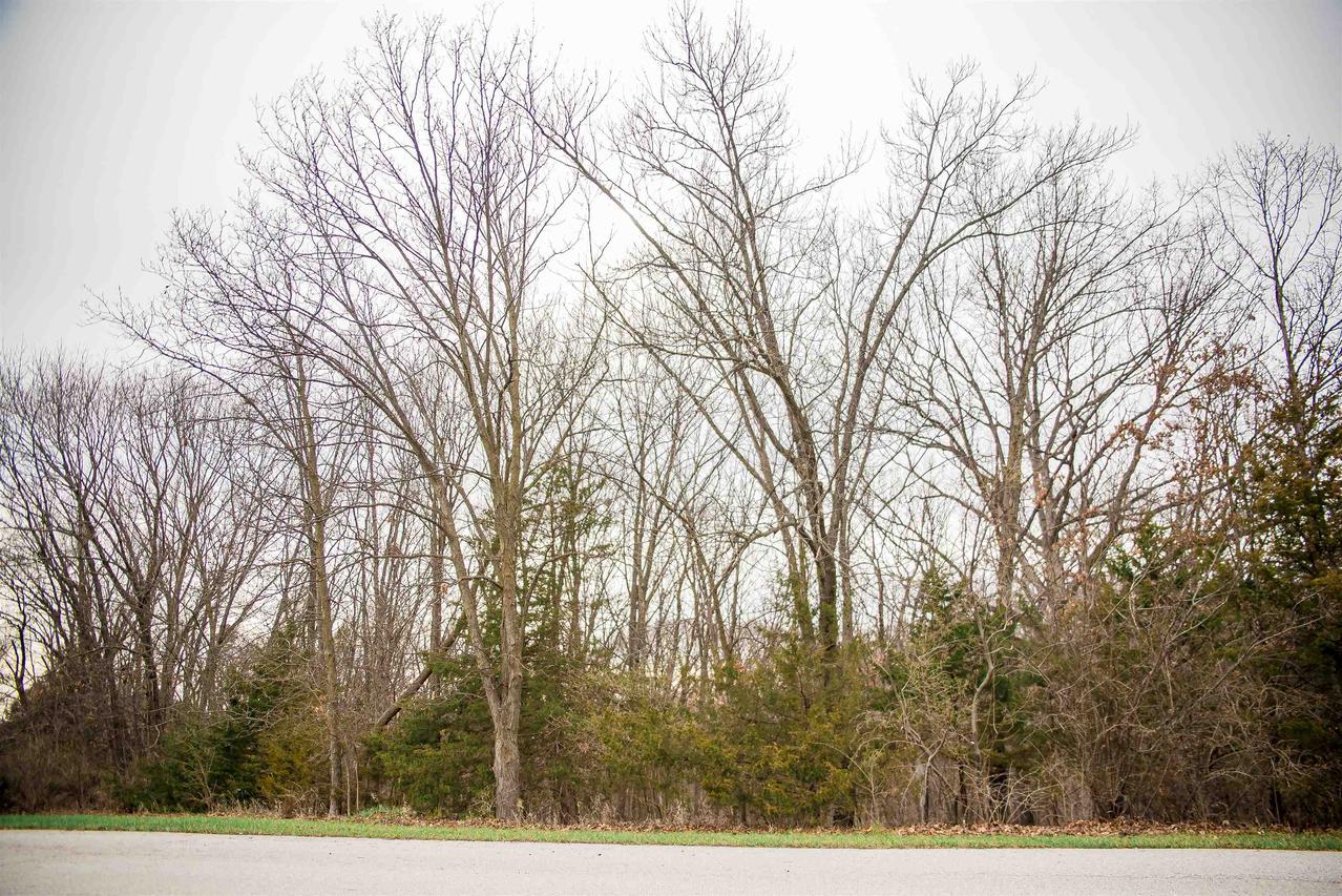 SE Cor Lot 15 Rd., Quincy, IL 62305