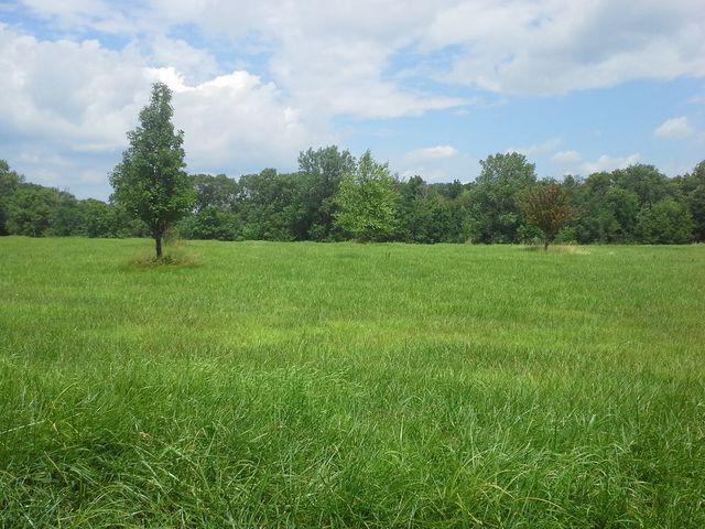 8100 W Indian Trail Rd., Seneca, IL 61360