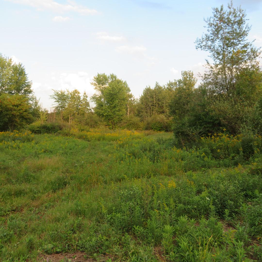 Darby Rd., Custer Park, IL 60481