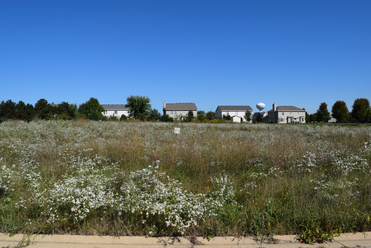 Lot 13 Andrew St., Plano, IL 60545