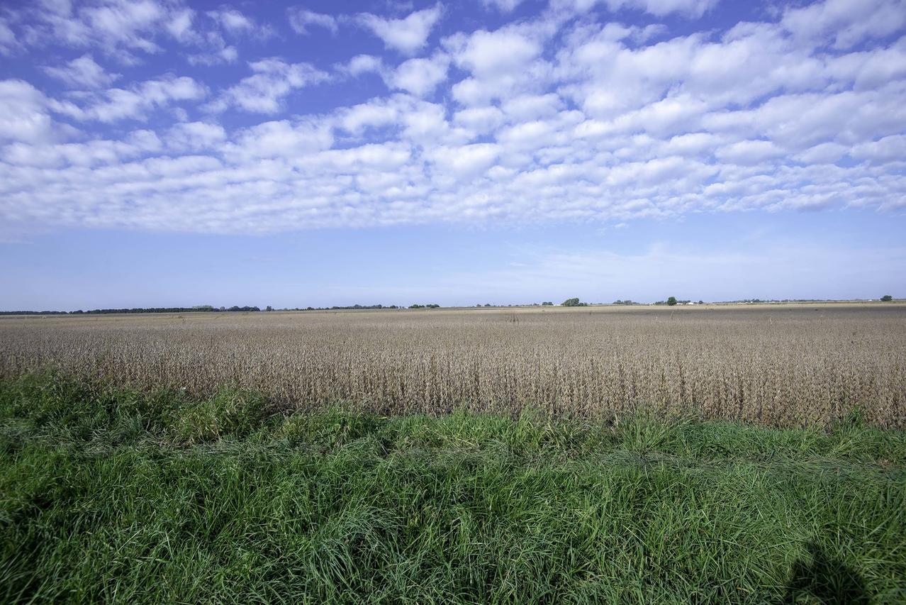 00 S Warner Bridge Rd., Wilmington, IL 60481