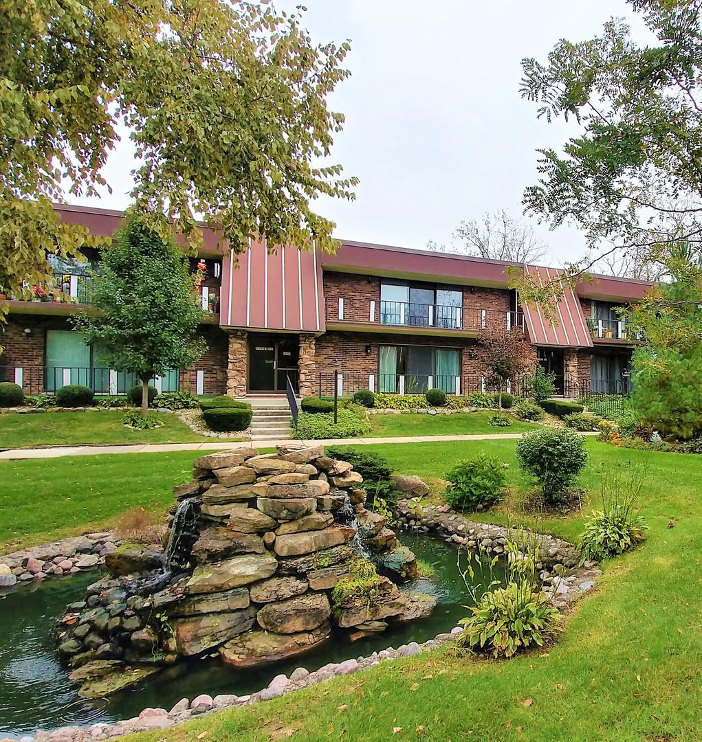 11139 S O'gorman Dr. #2N, Palos Hills, IL 60465