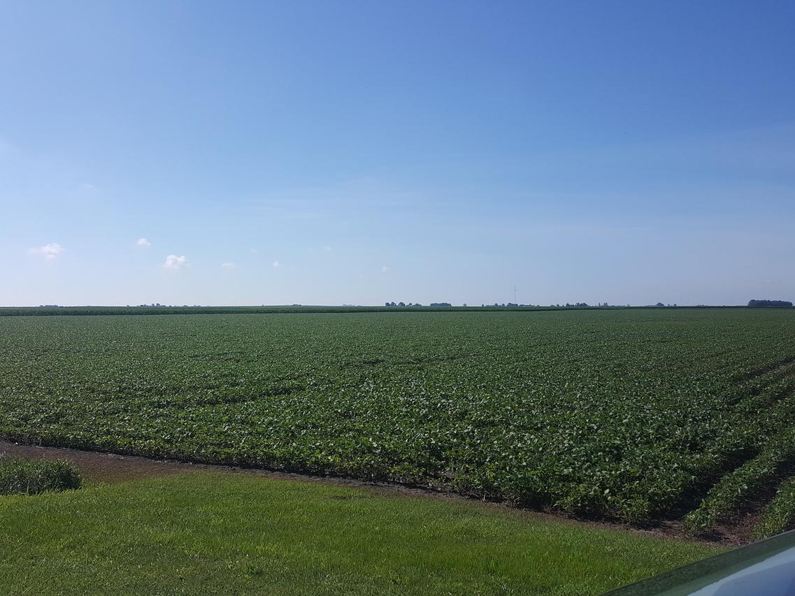 541 E 3100 North Rd., Clifton, IL 60927