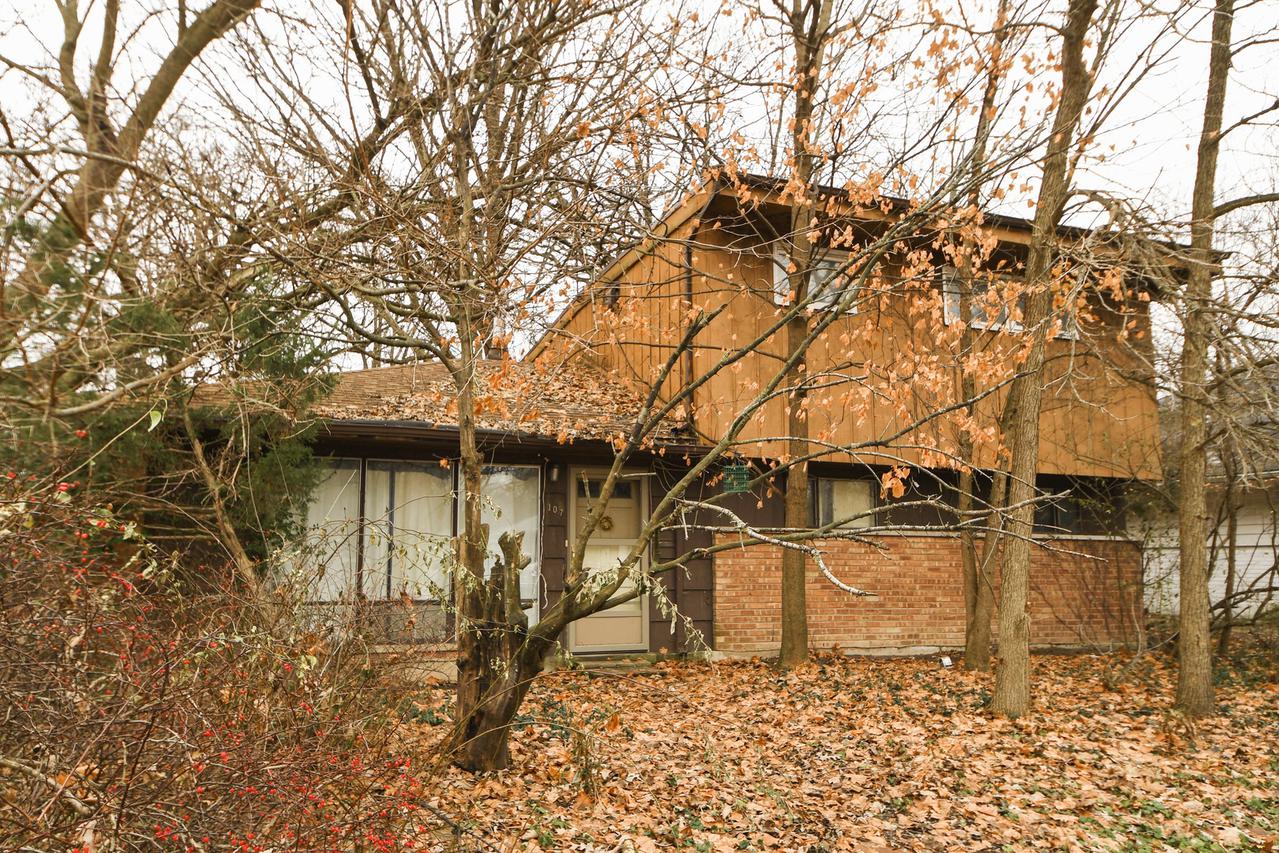 107 Nanti St., Park Forest, IL 60466