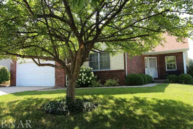 117 Cedar Dr., Clinton, IL 61727