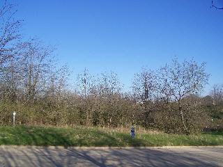 Lot 16 Abbey Way Lot 16, Bloomington, IL 61704