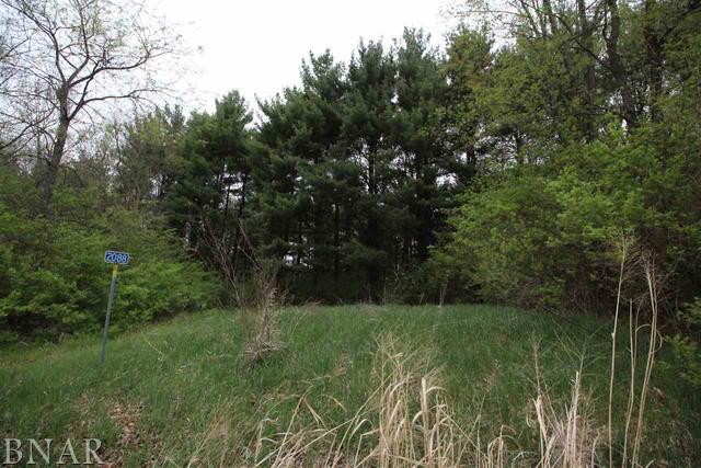 2088 County Road 900n, Secor, IL 61771