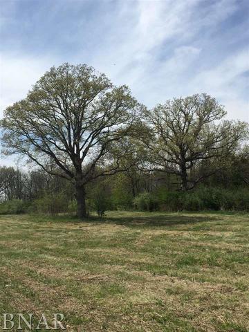 6897 Westside Rd., Clinton, IL 61727