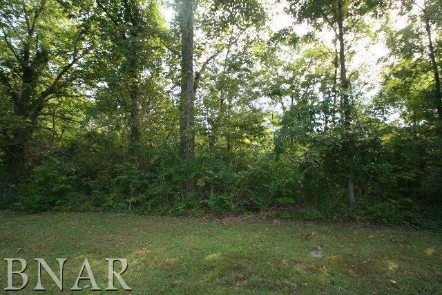 10057 Levy Rd., Tremont, IL 61568