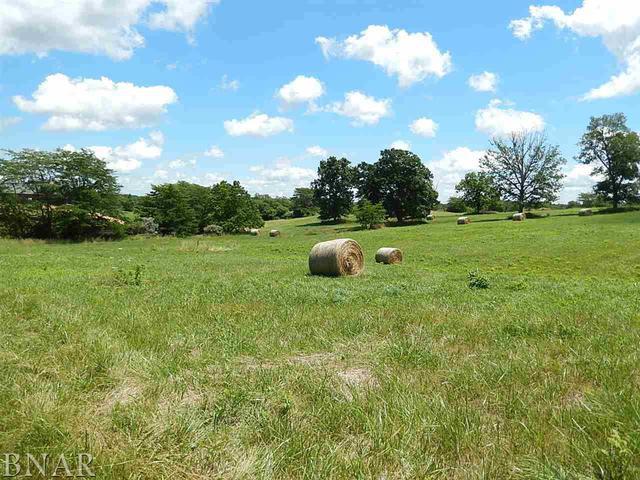 13090 Taft Rd., Clinton, IL 61727