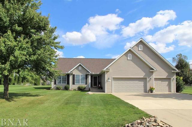 111 S Pintail Ln., Downs, IL 61736