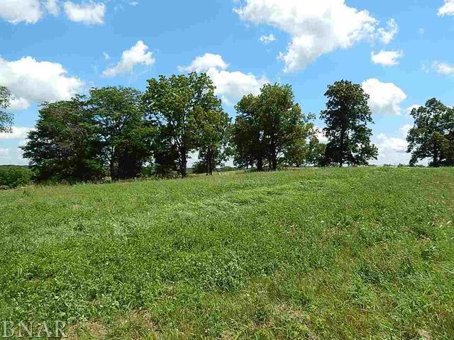 5460 Brush College Rd., Clinton, IL 61727