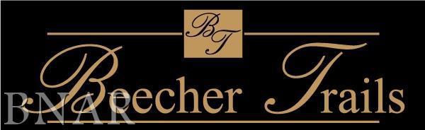 Lot 70 Beecher Trails, Downs, IL 61736