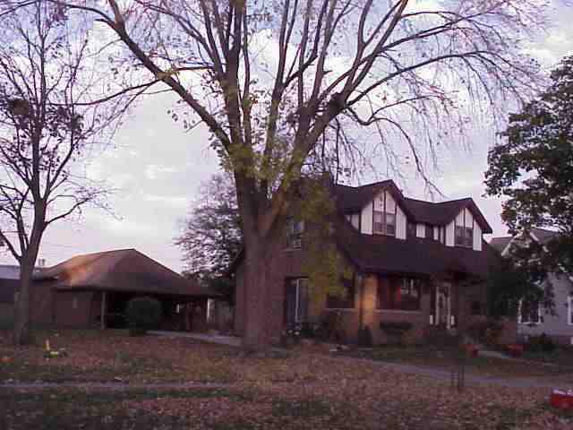 320 W Locust, Minonk, IL 61760