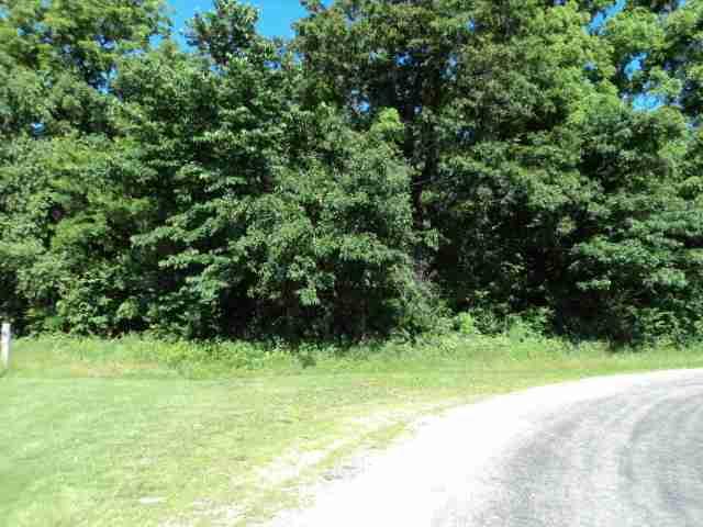 Tract 3 Little Galilee Rd., Clinton, IL 61727