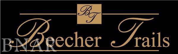 Lot 19 Beecher Trails, Downs, IL 61736
