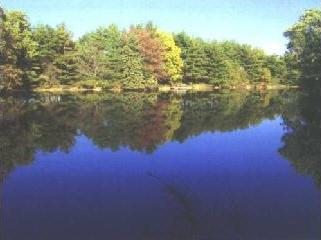 lot 27 Whispering Pines Lake Lot 27, Congerville, IL 61729