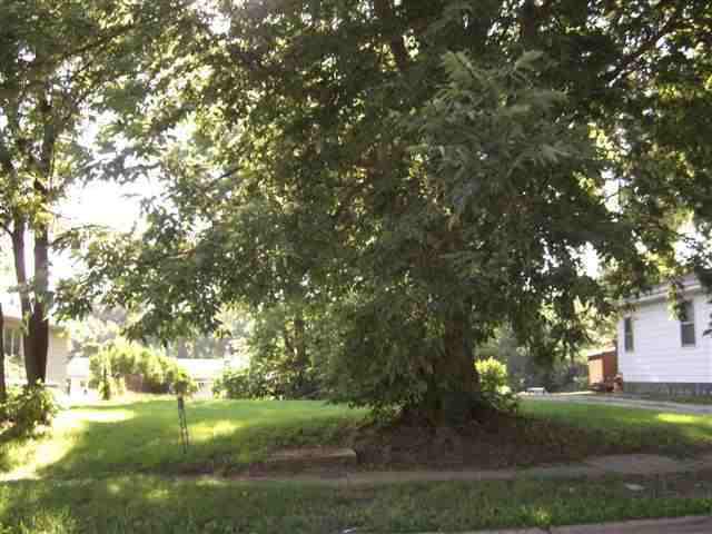 1204 S Clayton St., Bloomington, IL 61701