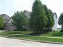 5 Chloe, Bloomington, IL 61704