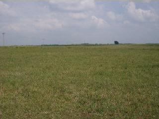 lot 20 Silo Road Lot 20, Clinton, IL 61727