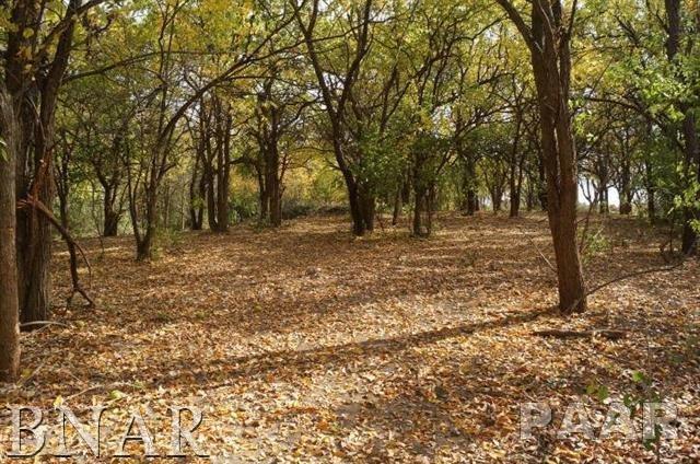 Lot 1A Deer Ridge, Carlock, IL 61725
